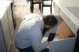 Affinity Pest Control photo 4