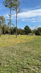 Green Matters Lawn & Landscaping photo 6