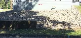 A Perfect Edge Landscaping LLC photo 4