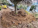 Back 40 Landscaping photo 8