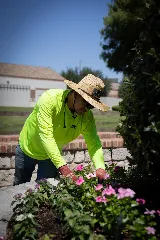 Terra Turf Landscape photo 6