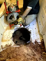 Plumbtastic Solutions LLC photo 5