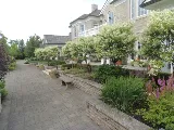 Green Ventures Landscape Care Limited photo 5