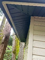 Professional Siding photo 4