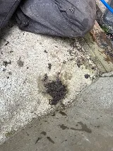 1 Clean Air photo 2