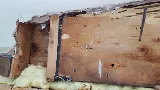 AJS Extermination - Exterminateur Rive Sud photo 2