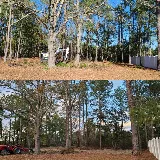 Carolina Landscaping and Clean Up photo 7