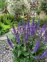 Salix Landscaping photo 5