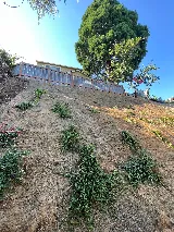 Landscaping/Lawn Care Where The Grass Is Greener photo 10