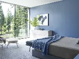 Lions Gate Painting Ltd photo 8