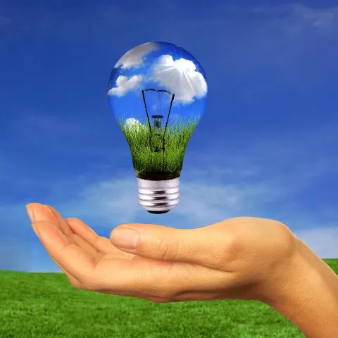 Think Green Electrical photo 1