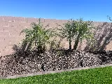 AZ Tree & Hardscape Co photo 8