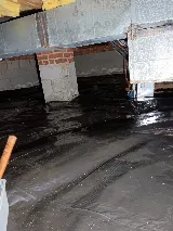 Truly Nolen Pest & Termite Control - Winston Salem photo 7