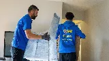 Superior Mover photo 4