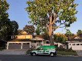 HomeShield Pest Control photo 6