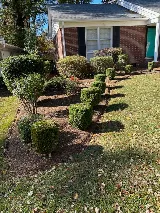 4th Generation Landscaping, Clean Up and Mulching photo 2