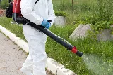 Pestech Pest Solutions photo 6