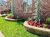Sunshine's Garden Design, LLC photo 3