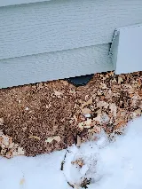 307 Pest, LLC photo 6