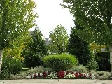 Para Space Landscaping Inc photo 4