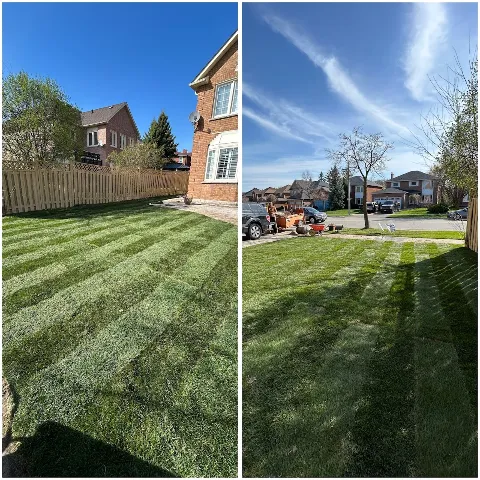 Sidis Construction and Landscaping photo 1