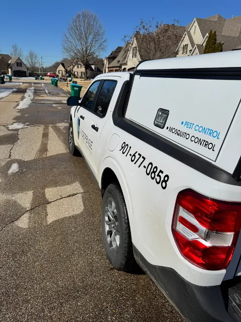 ClearDefense Pest Control in Memphis