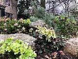 Gardenalia LLC photo 3