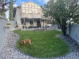 WildBear Snow + Lawn + Landscaping photo 6