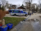 NeverGreen Pool Care Inc. photo 3