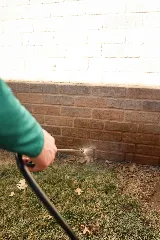 Hedgecoke Pest Control photo 7