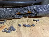 Preventive Pest Control photo 8