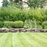 Jason's Lawn Care & Landscaping Inc photo 7