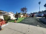 Gmg Landscaping & Gardening services photo 8