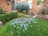 Verdant Landscape and Design Inc. photo 4