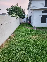 Laredo's Best Landscapers