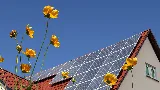 DFW Solar Electric