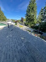 Alphanova Roofing photo 2