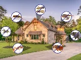 Eastside Pest Control Burnaby