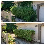 White Rock Lawn and Yard Care Ltd. photo 2
