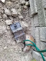 Strategic Pest Solutions Inc.