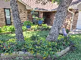 High Definition Lawn and Landscape photo 7