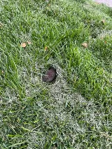 Vanquish Pest Control photo 8