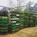 El Plantio Nursery & Landscaping photo 3