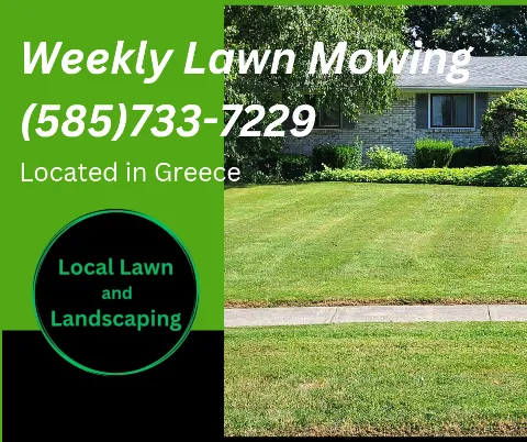 Local Lawn and Landscaping photo 1