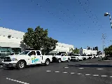 PEST PROS PEST SOLUTIONS photo 2