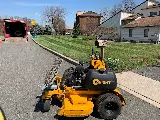 BellaVista Landscaping photo 4
