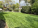 Junior's masonry & landscape inc photo 4