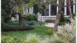 Serenoa Landscape Design
