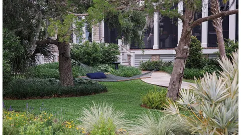 Serenoa Landscape Design in Jacksonville