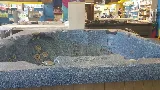 21st Century Pools & Spas photo 2